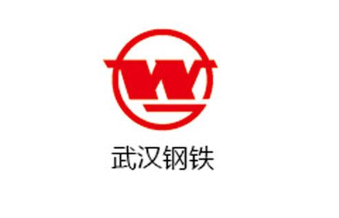 武汉钢铁 